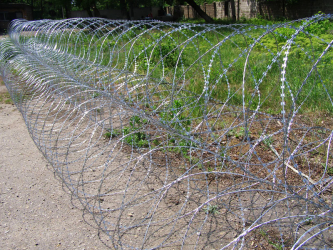 Pyramidal barriers of Egoza barbed wire
