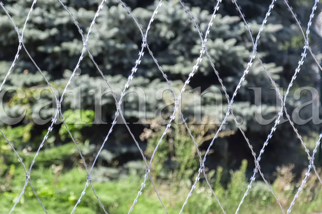 Фото колюча сітка Піранья 2х10