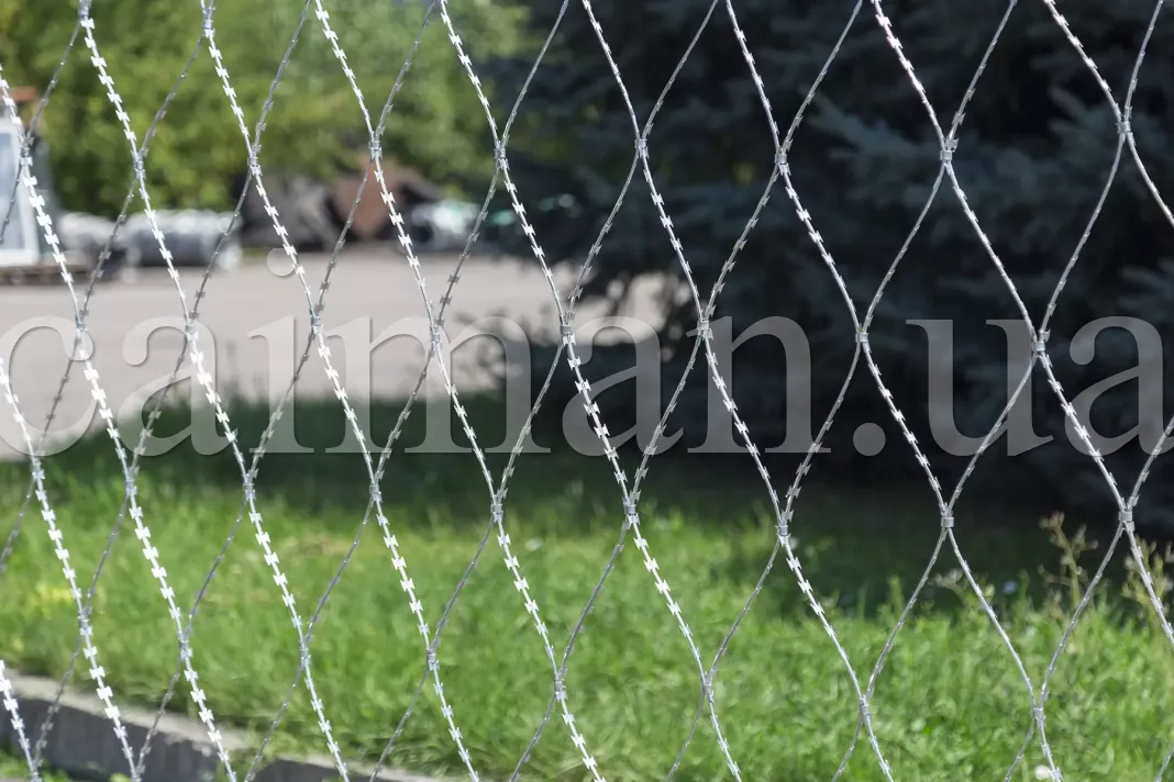 Фото колюча сітка Піранья 2,7х10