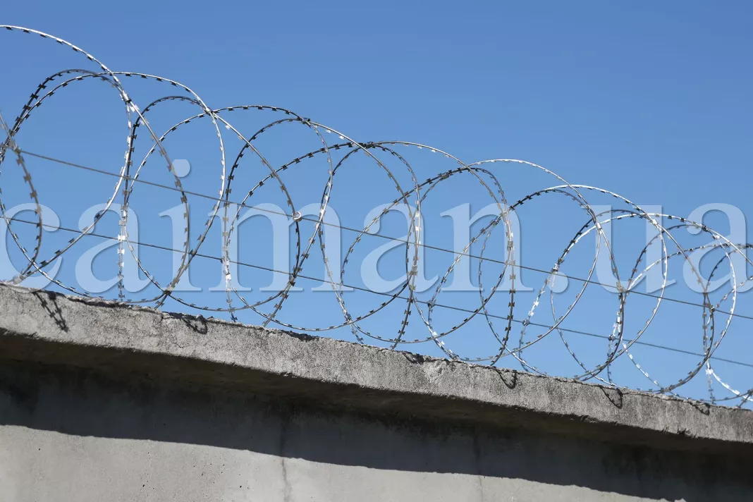 Photo of the Concertina 600/5 razor wire barrier