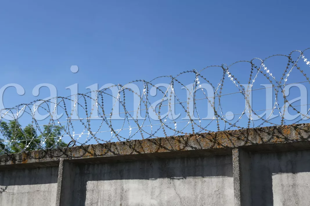 Фото спірального загородження Єгоза-Стандарт 450/5