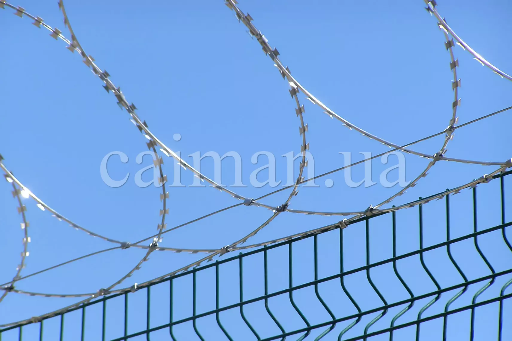 ЗКР-П «Єгоза-Алігатор-600»